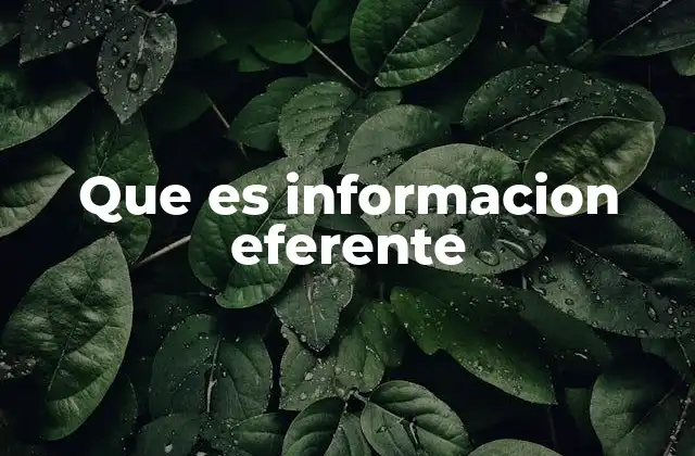 Que es Informacion Eferente