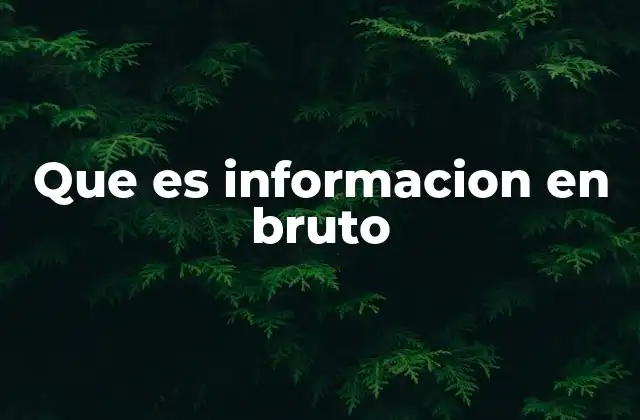 Que es Informacion en Bruto