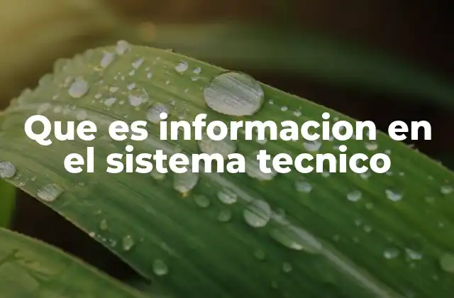 La importancia de la información en los sistemas tecnológicos
