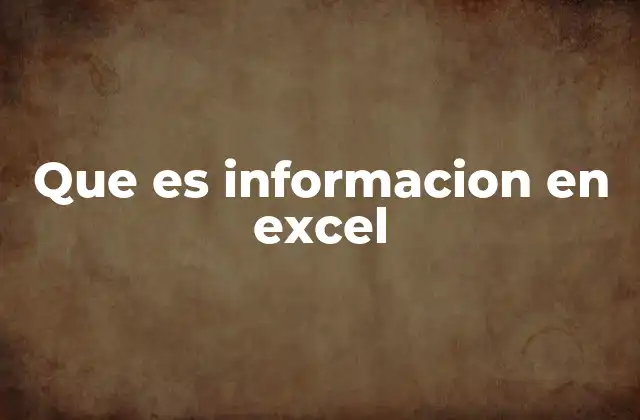 Que es Informacion en Excel