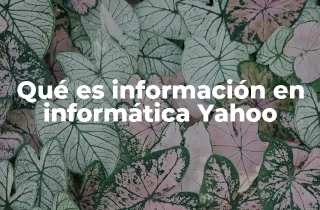 Qué es Información en Informática Yahoo