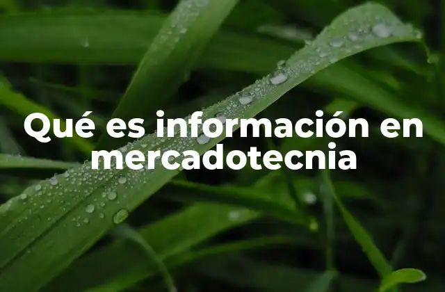 Qué es Información en Mercadotecnia
