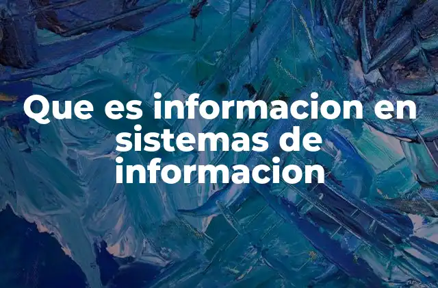 Que es Informacion en Sistemas de Informacion