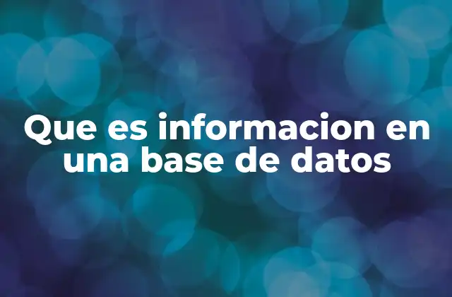 Que es Informacion en una Base de Datos 2 La información como el alma de una base de datos
