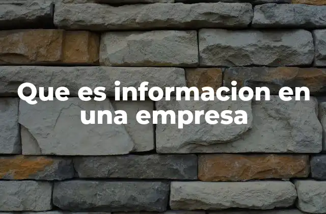 Que es Informacion en una Empresa