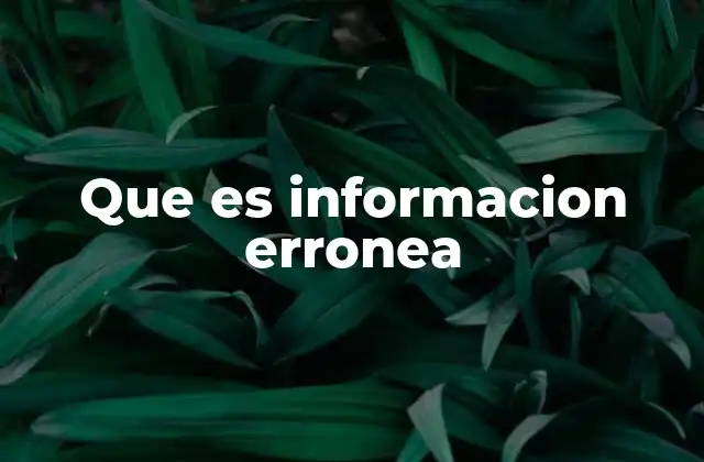 Que es Informacion Erronea