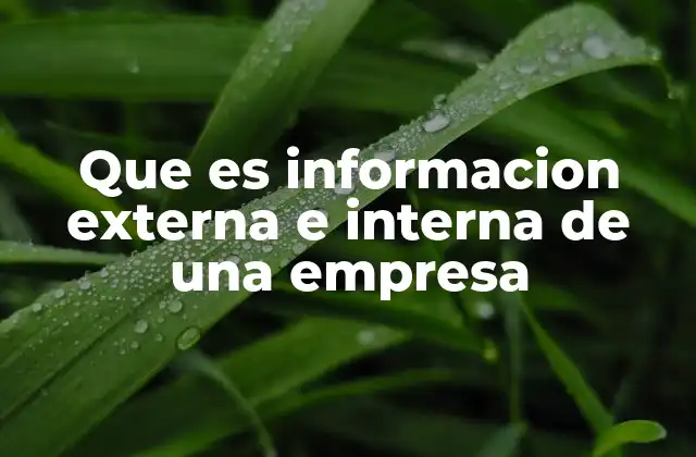 Que es Informacion Externa e Interna de una Empresa