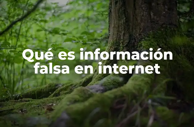 Qué es Información Falsa en Internet