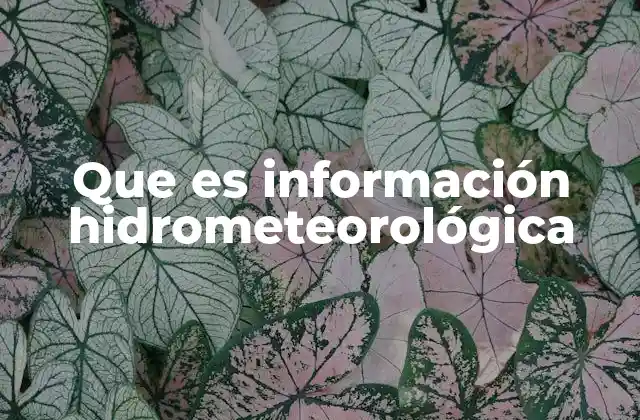 Que es Información Hidrometeorológica
