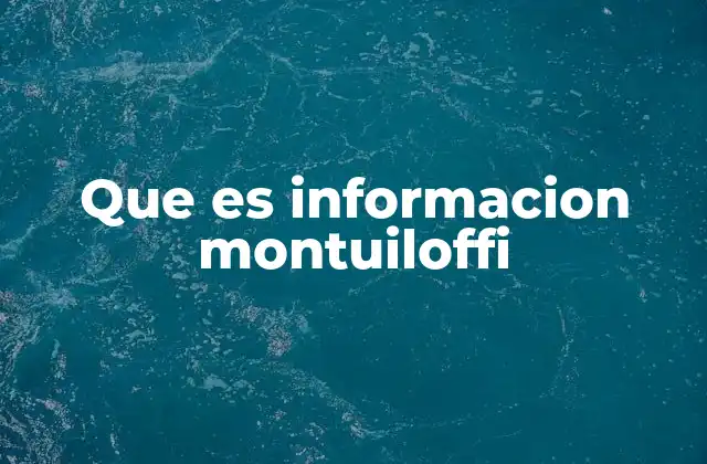 Que es Informacion Montuiloffi