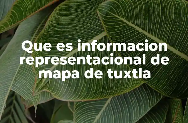 Que es Informacion Representacional de Mapa de Tuxtla