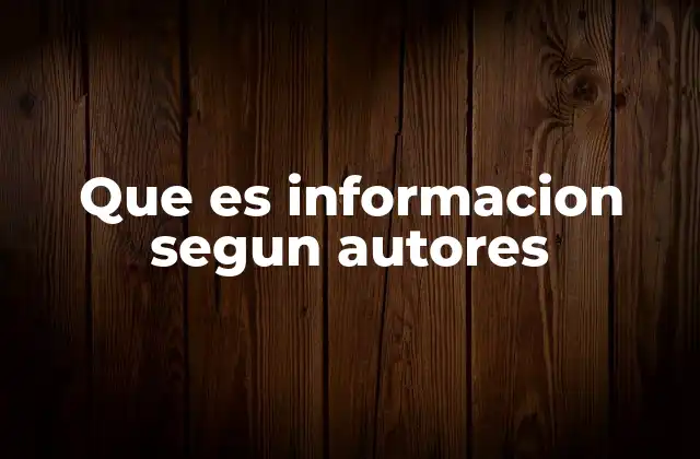 Que es Informacion Segun Autores