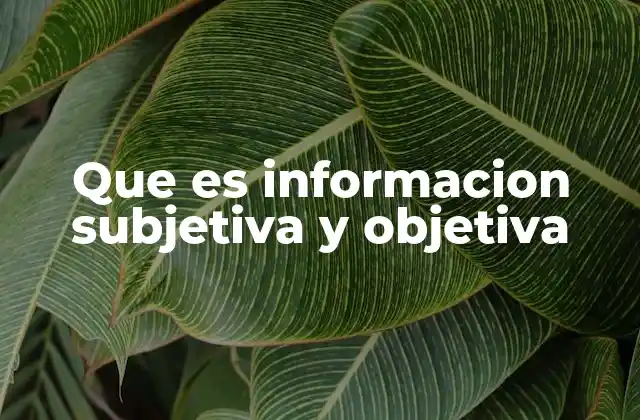 Que es Informacion Subjetiva y Objetiva