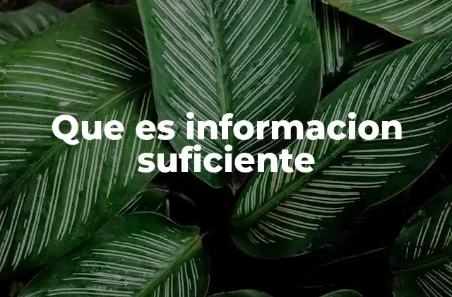 Que es Informacion Suficiente
