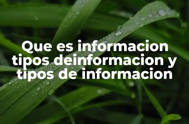 Que es Informacion Tipos Deinformacion y Tipos de Informacion