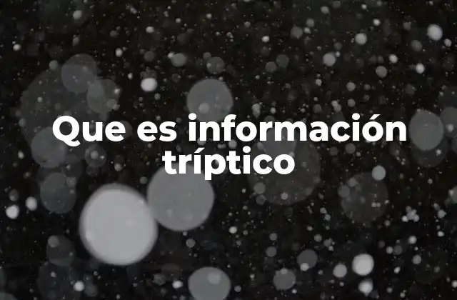 Que es Información Tríptico