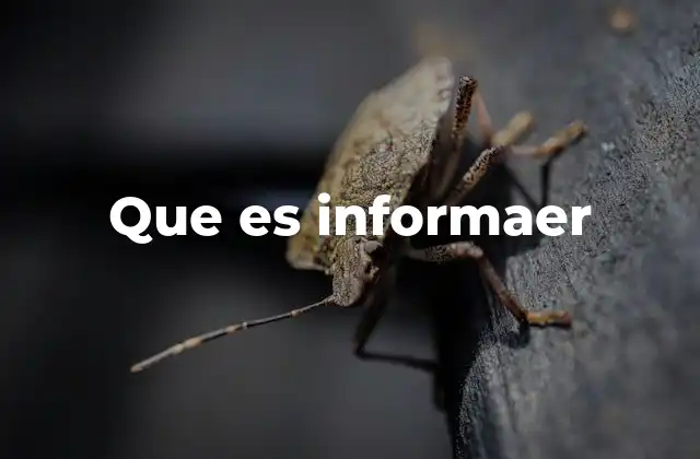 Que es Informaer