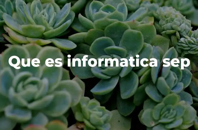 Que es Informatica Sep