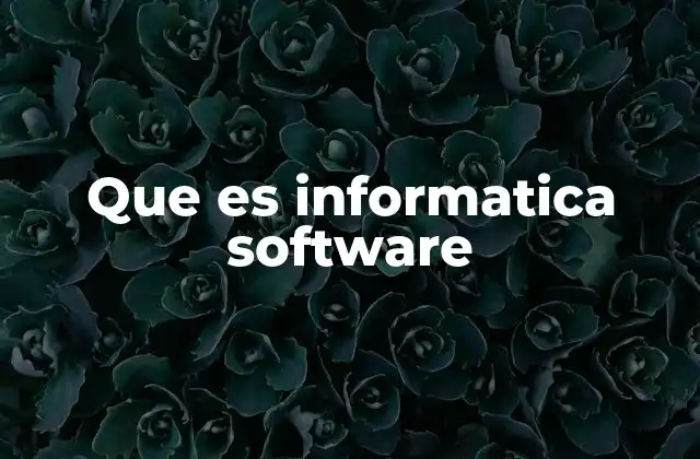 Que es Informatica Software