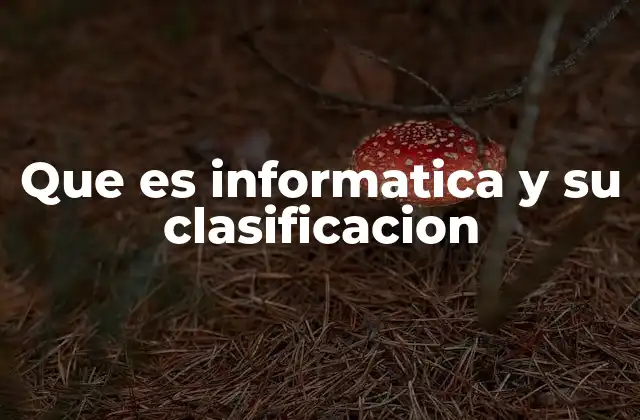 Que es Informatica y Su Clasificacion