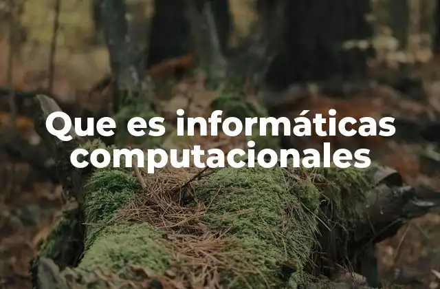 Que es Informáticas Computacionales