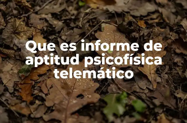 Que es Informe de Aptitud Psicofísica Telemático