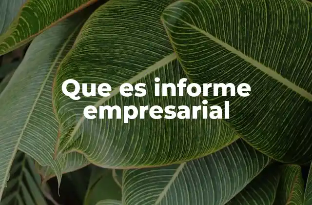 Que es Informe Empresarial