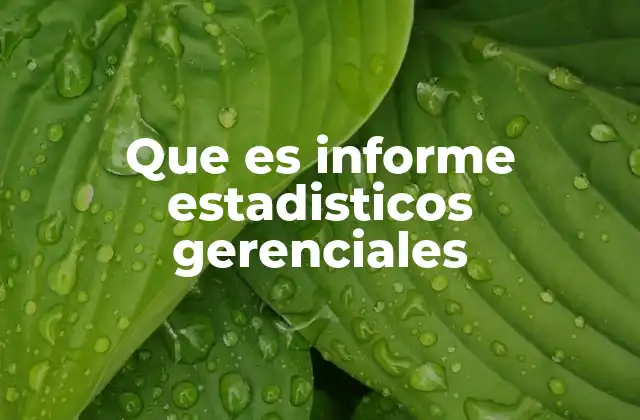 Que es Informe Estadisticos Gerenciales