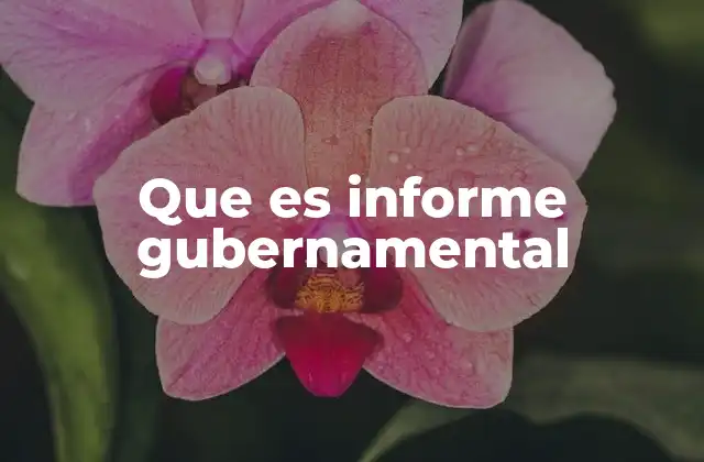 Que es Informe Gubernamental