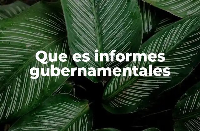 Que es Informes Gubernamentales