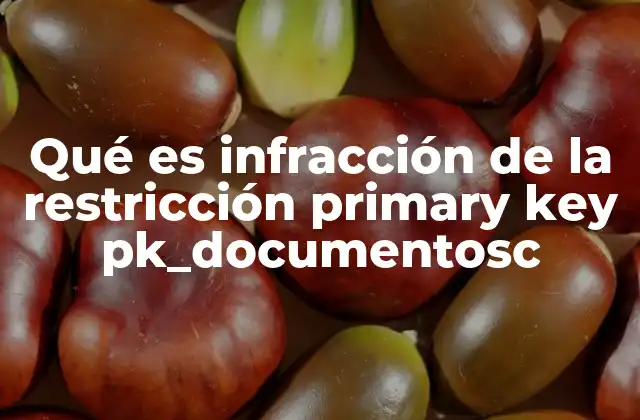 Qué es Infracción de la Restricción Primary Key Pk_documentosc