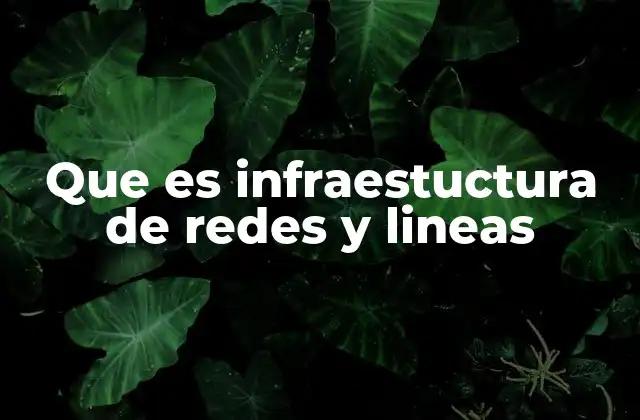 Que es Infraestuctura de Redes y Lineas