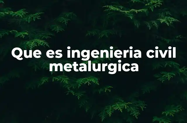 Que es Ingenieria Civil Metalurgica