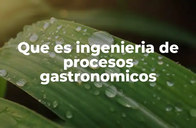 La importancia de la tecnología en la cocina moderna