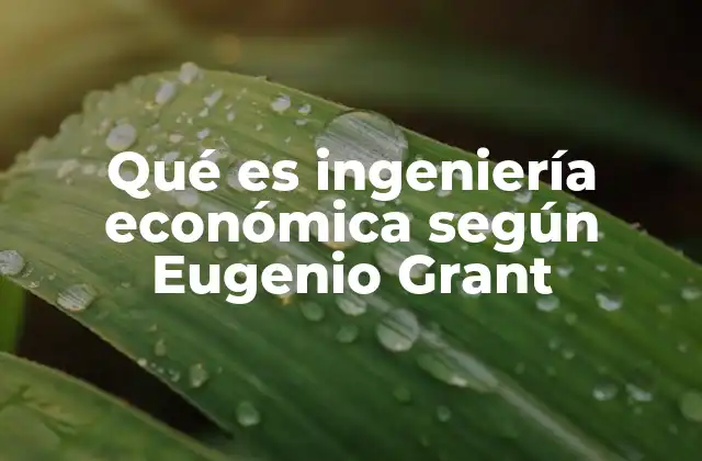 Qué es Ingeniería Económica según Eugenio Grant