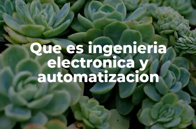 Que es Ingenieria Electronica y Automatizacion