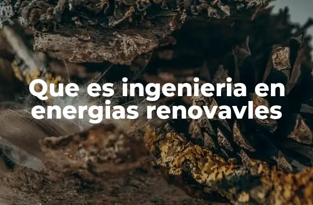 Que es Ingenieria en Energias Renovavles