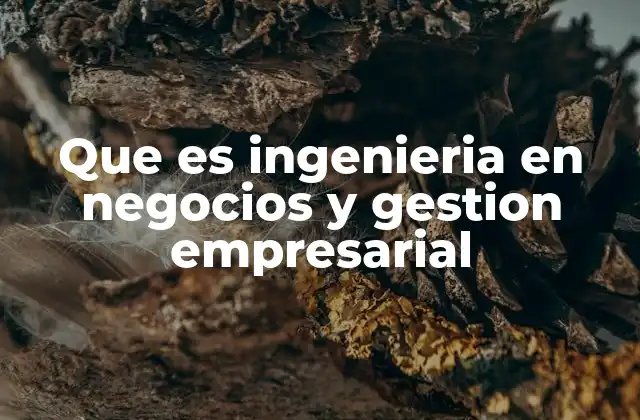 Que es Ingenieria en Negocios y Gestion Empresarial 2 Cómo la ingeniería en negocios transforma el mundo empresarial