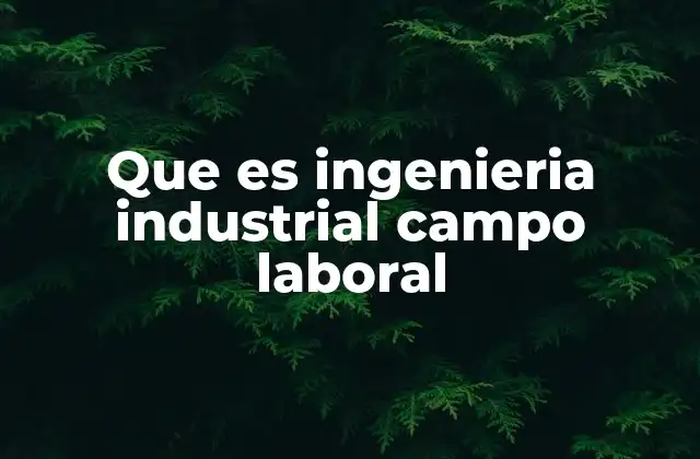 Que es Ingenieria Industrial Campo Laboral