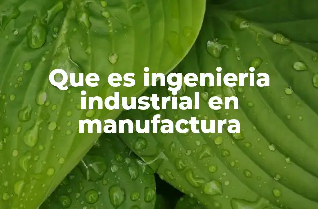 Que es Ingenieria Industrial en Manufactura