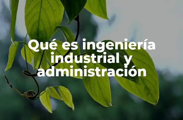 Qué es Ingeniería Industrial y Administración