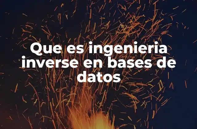 Que es Ingenieria Inverse en Bases de Datos