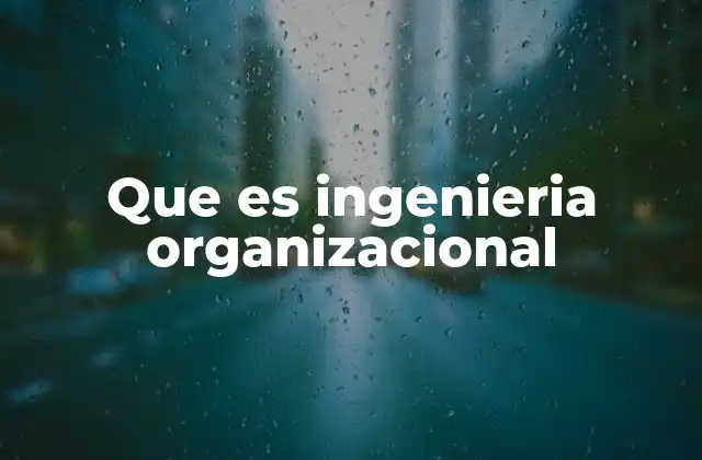 Que es Ingenieria Organizacional