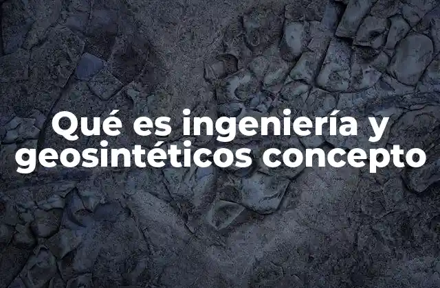 Qué es Ingeniería y Geosintéticos Concepto
