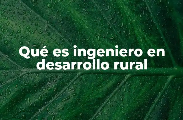 Qué es Ingeniero en Desarrollo Rural