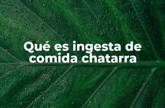 Qué es Ingesta de Comida Chatarra