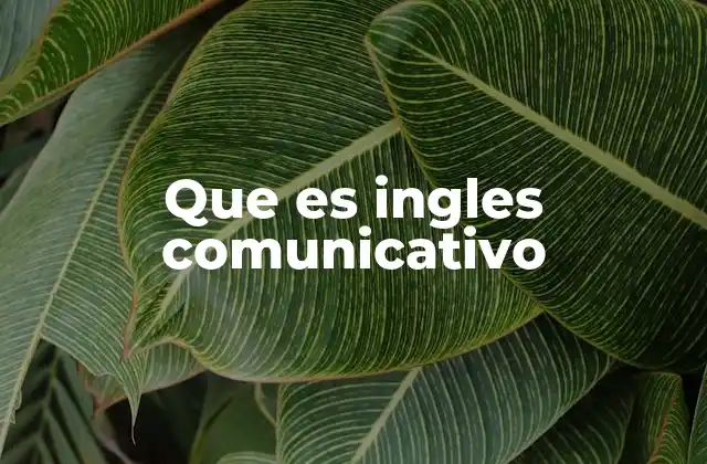 Que es Ingles Comunicativo