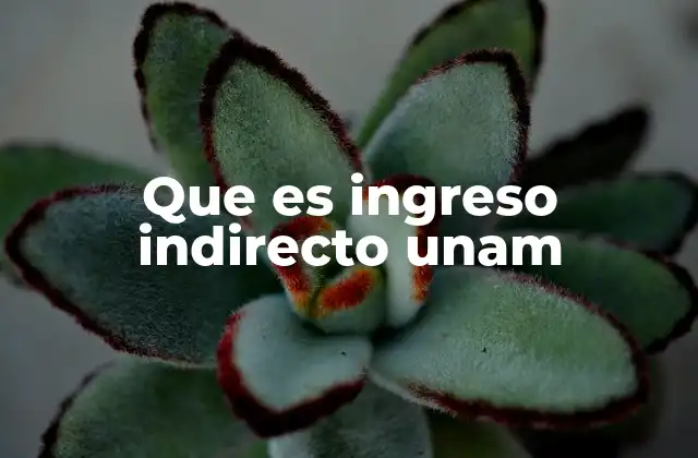 Que es Ingreso Indirecto Unam