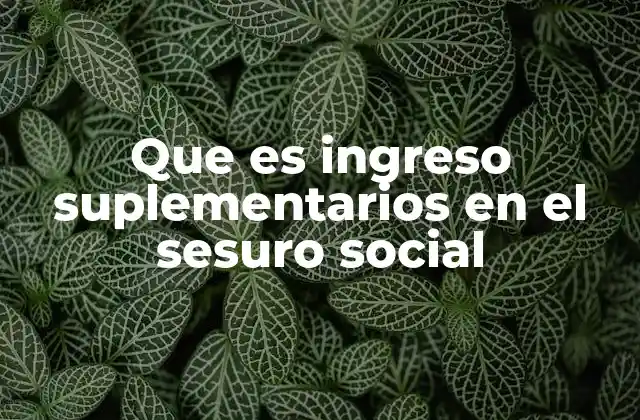 Que es Ingreso Suplementarios en el Sesuro Social