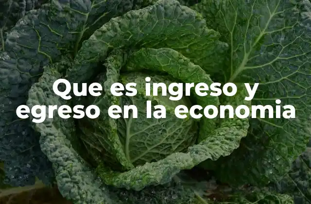 Que es Ingreso y Egreso en la Economia